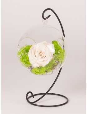 Trandafiri conservati in glob de sticla