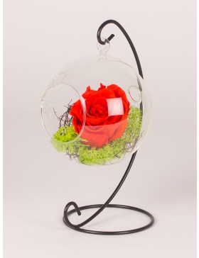 Trandafiri conservati in glob de sticla
